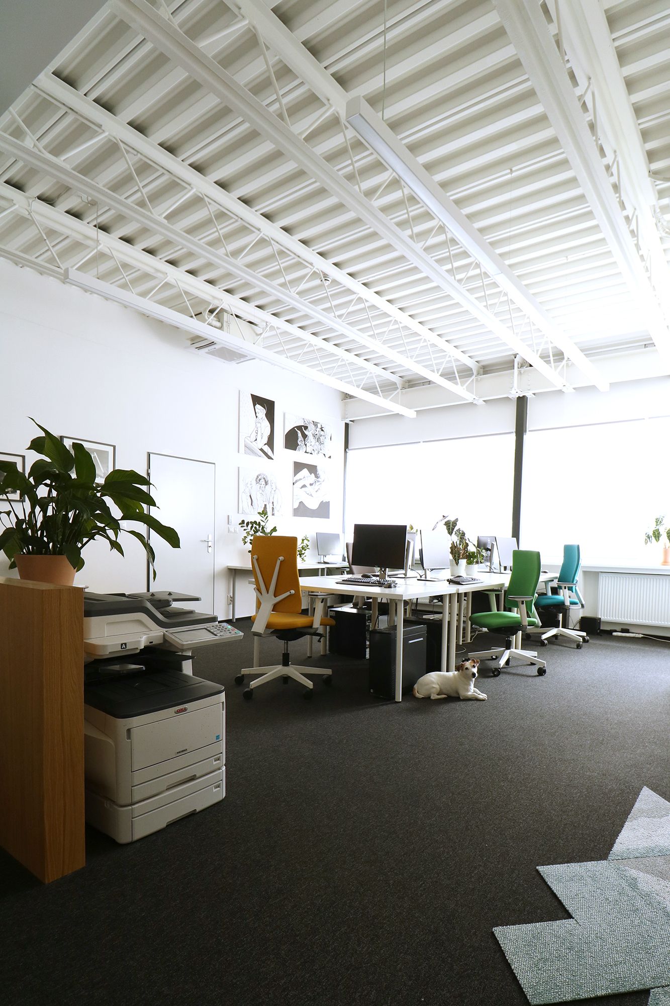 Interiér kancelárií Gajova - Image 20