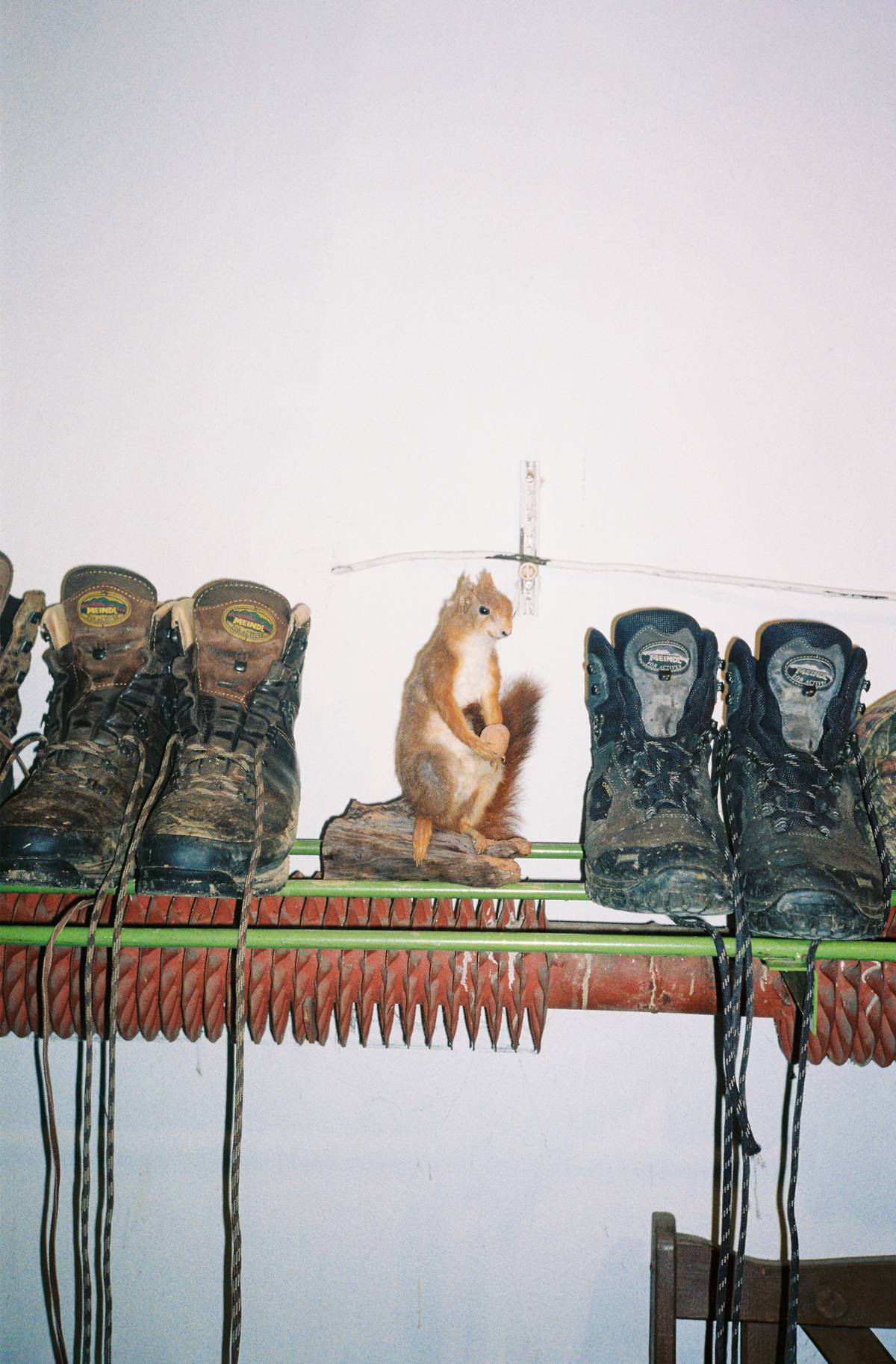 Hunters