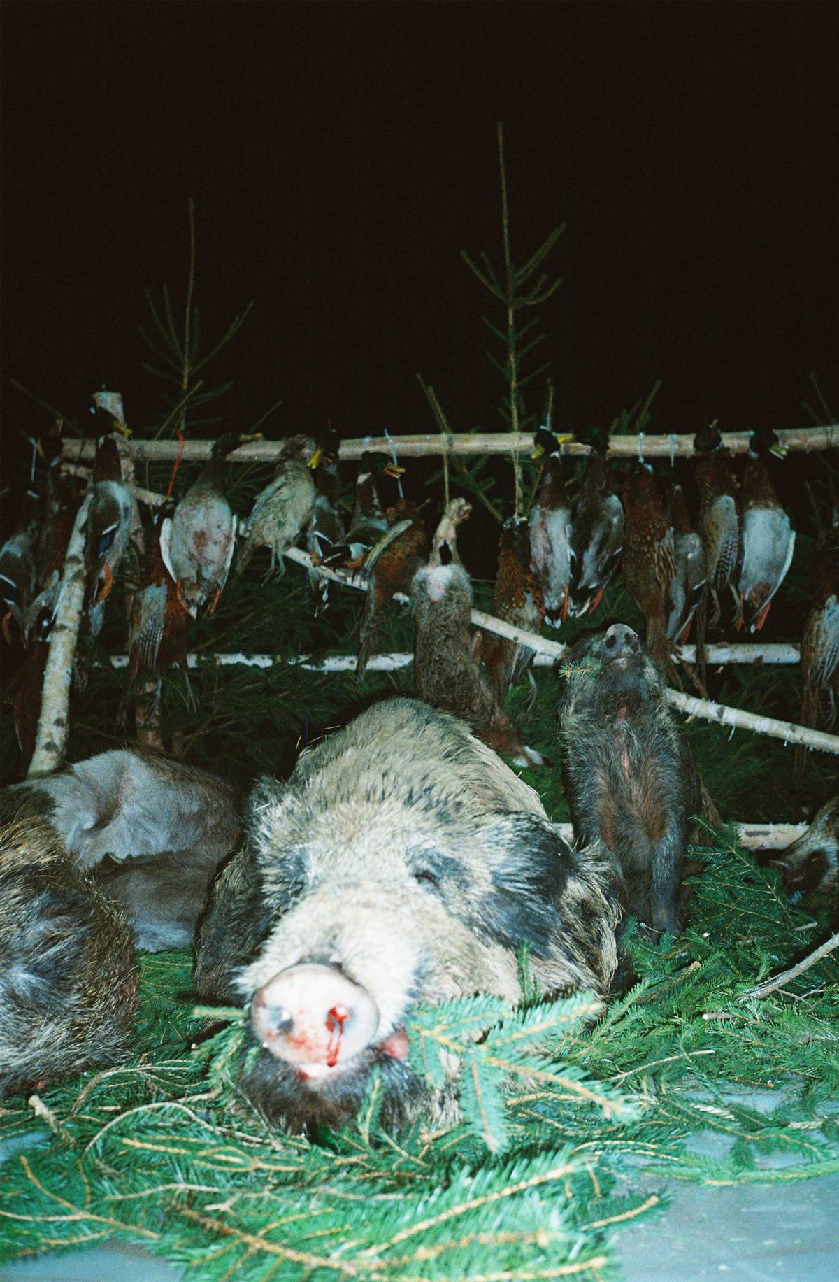 Hunters