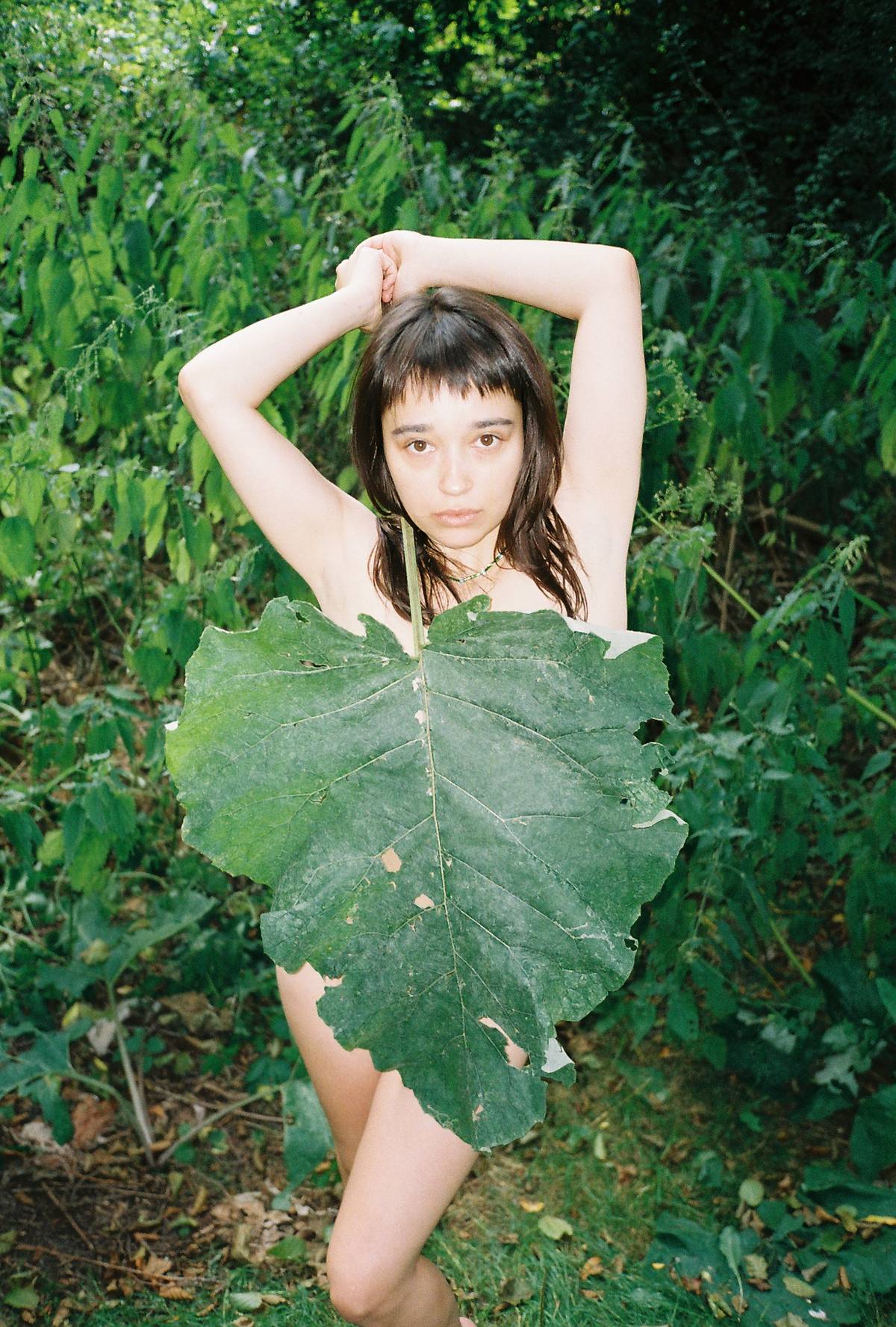 Roots