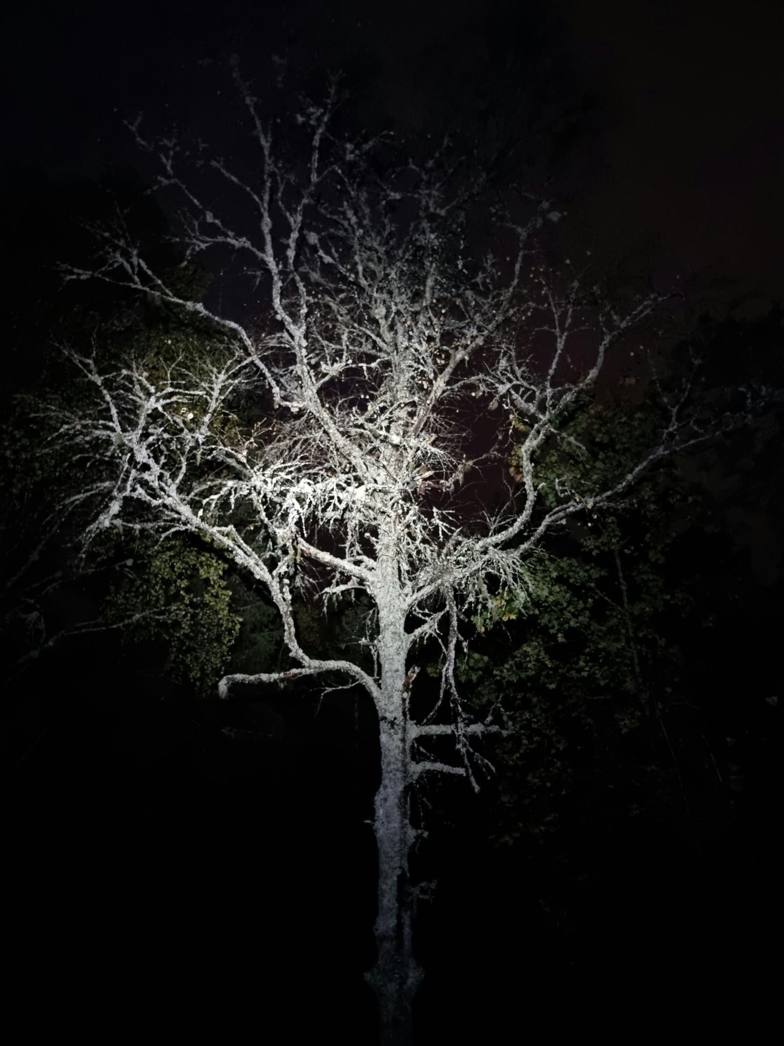 Psykisk Helse - Ylva-Li_Farstad_Sevendal_3MKA_1.jpg