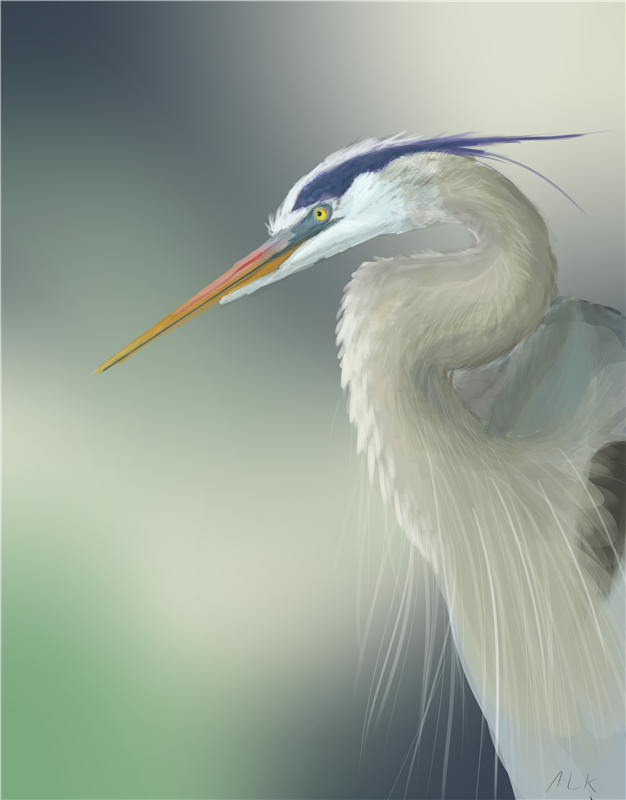 Bird - 142_Annali_2MP_Bird.png