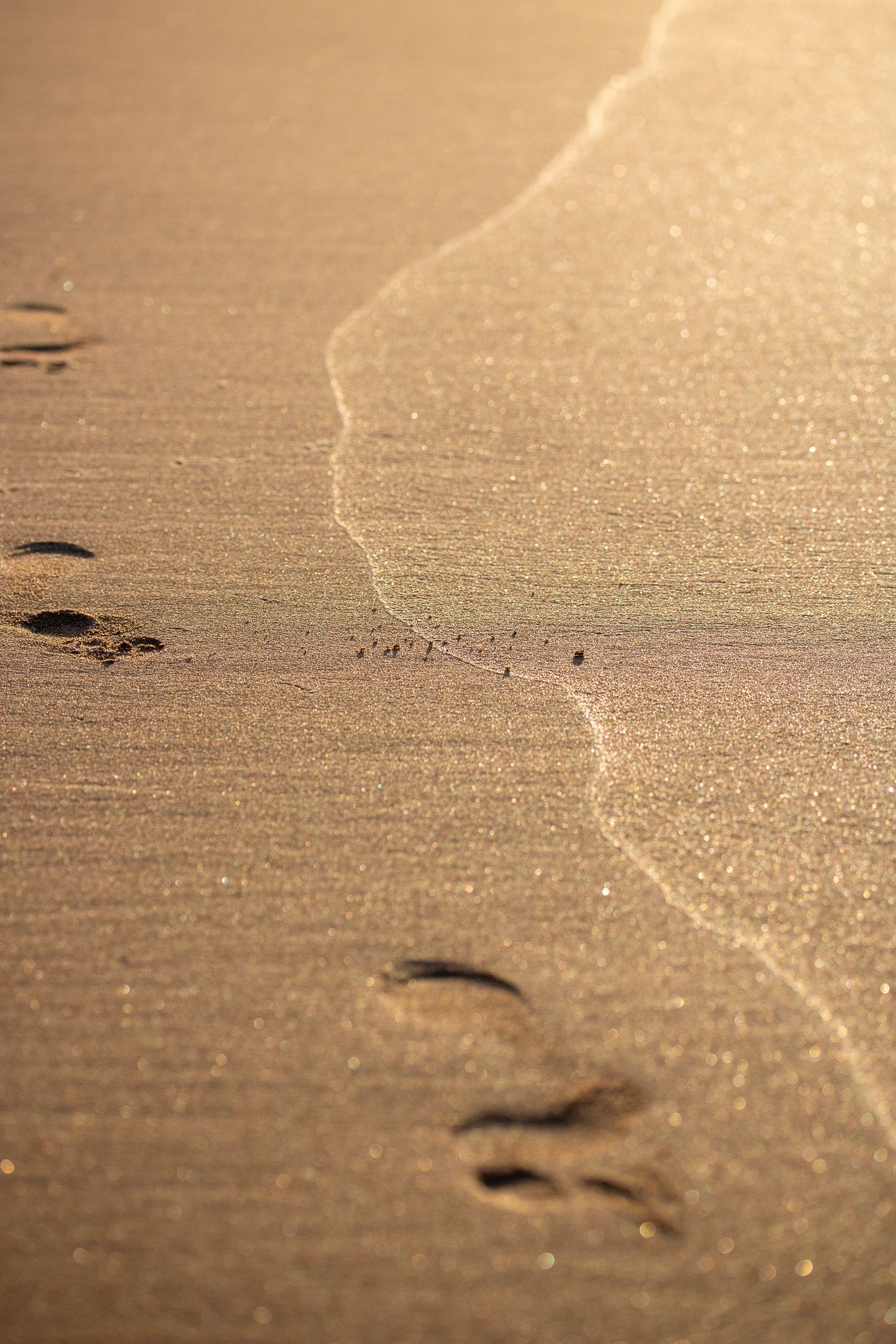 Golden Hour - Ayat-Jawad_2MKB_Golden-Hour8.jpg