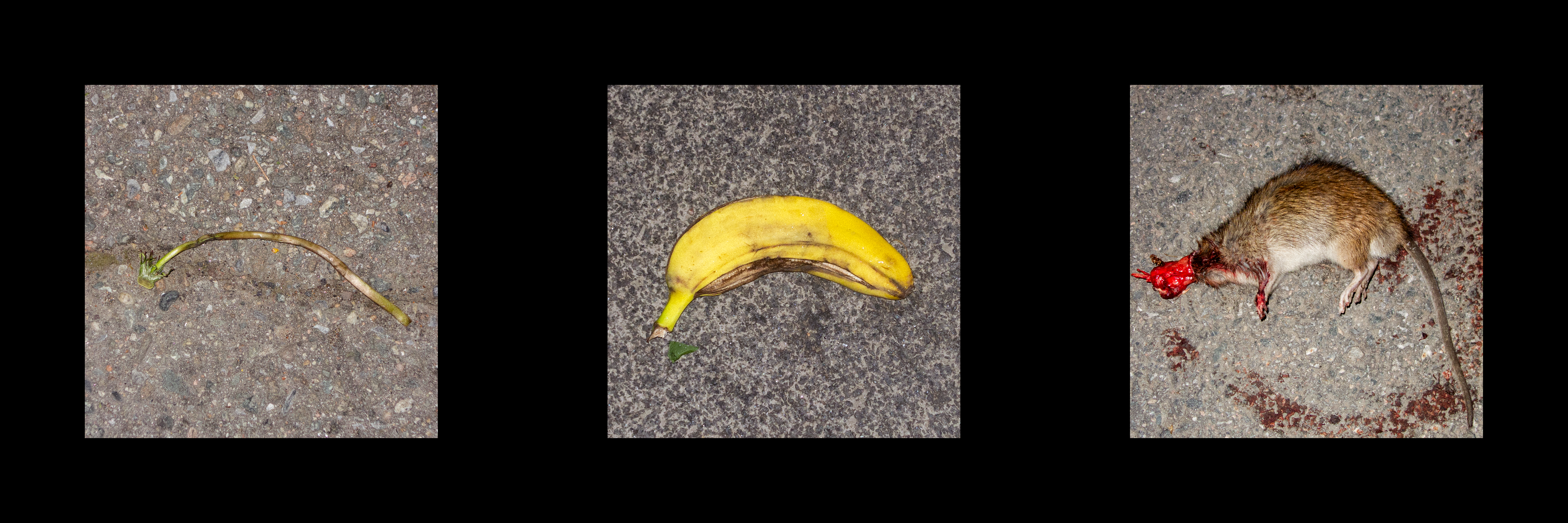 Etterlatt - 108_Joakim_Ellingsen_2MPB_Etterlatt.png