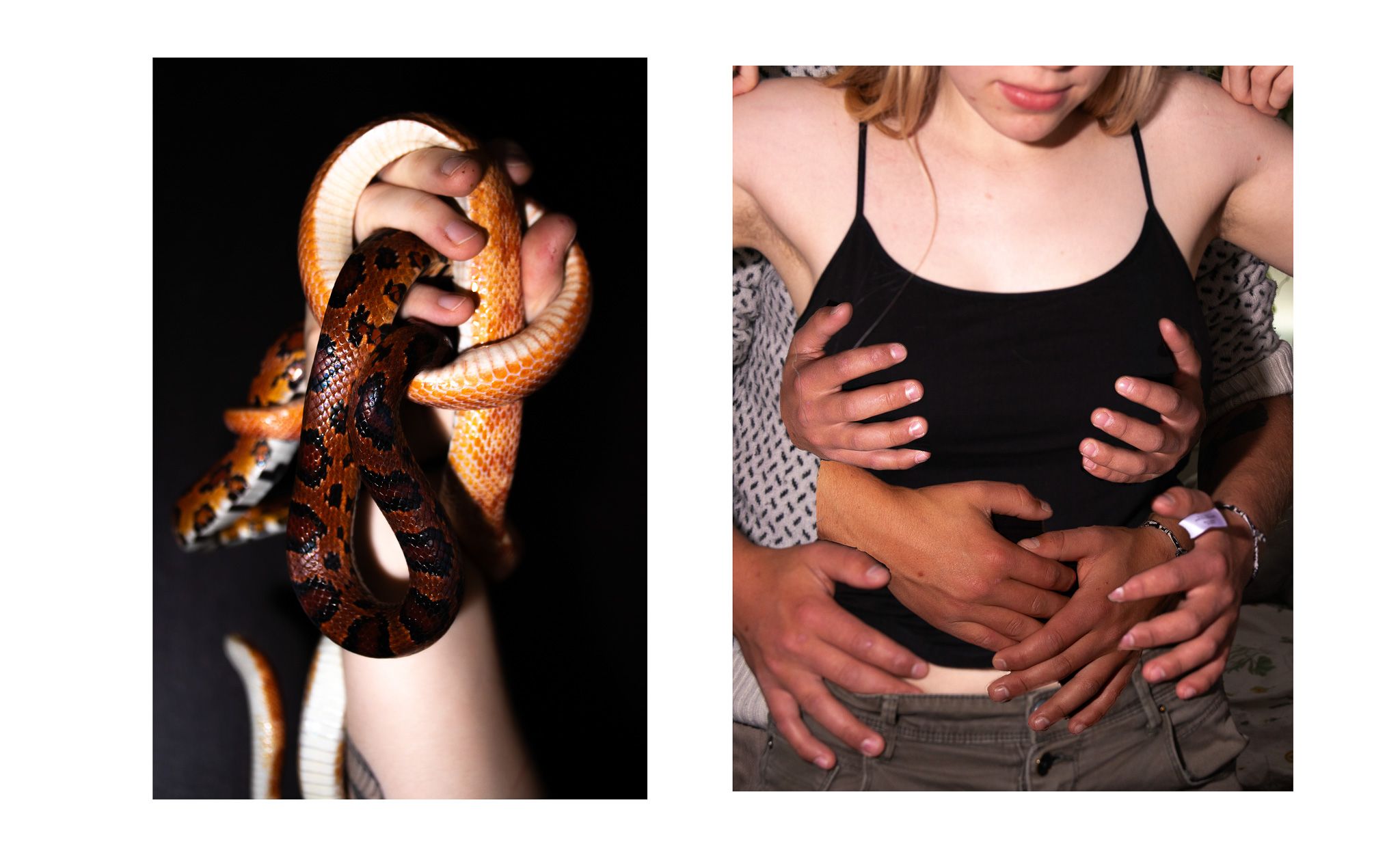 Reptilhjernen - Pia-Olea-Kristoffersen_3MKA_Reptilhjernen4.jpg