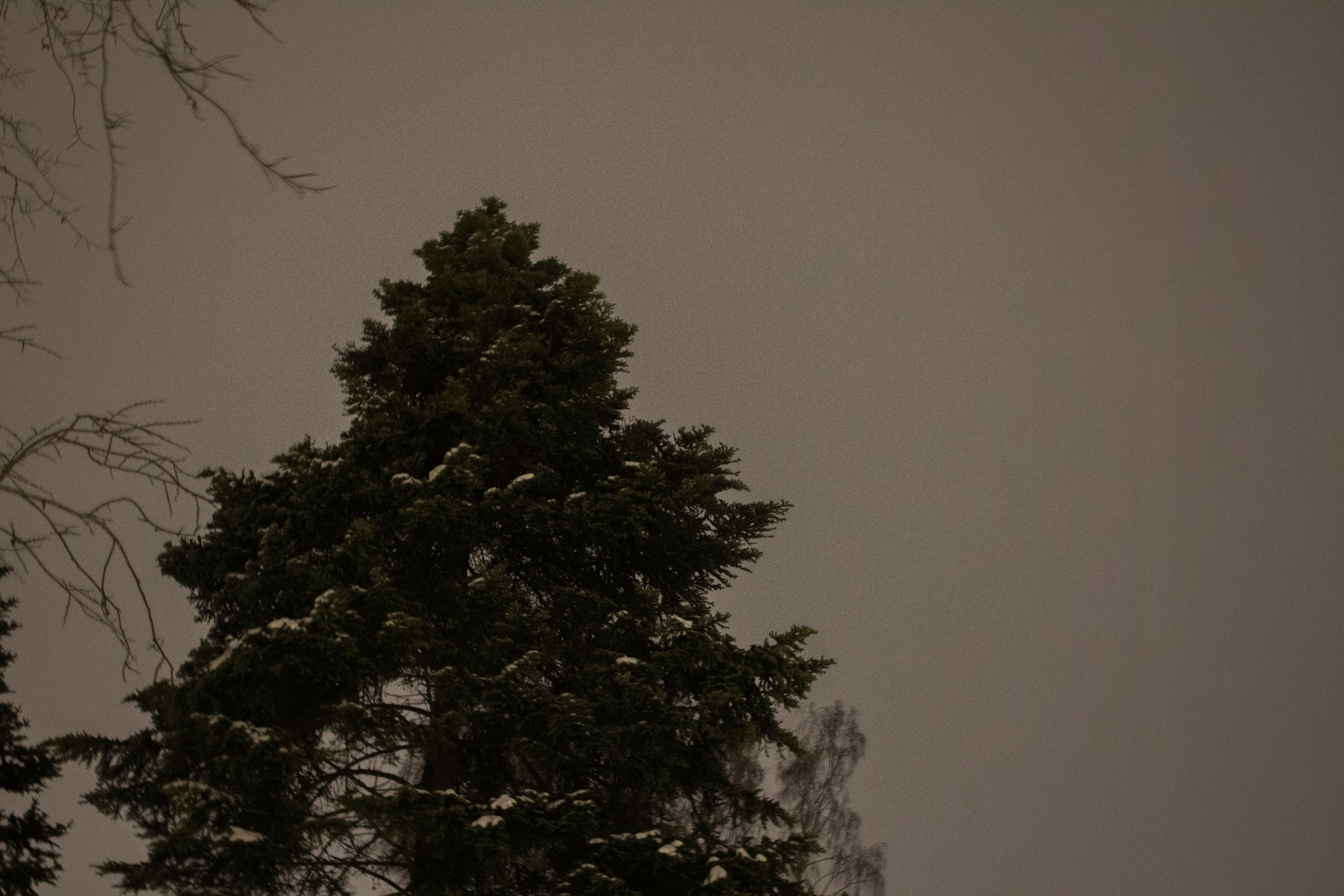 Psykisk Helse - Lars_Garcia_Bentzen_2STC_1.jpg