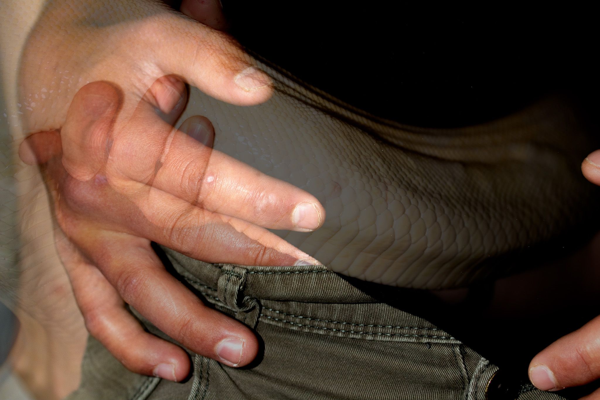 Reptilhjernen - Pia-Olea-Kristoffersen_3MKA_Reptilhjernen8.jpg