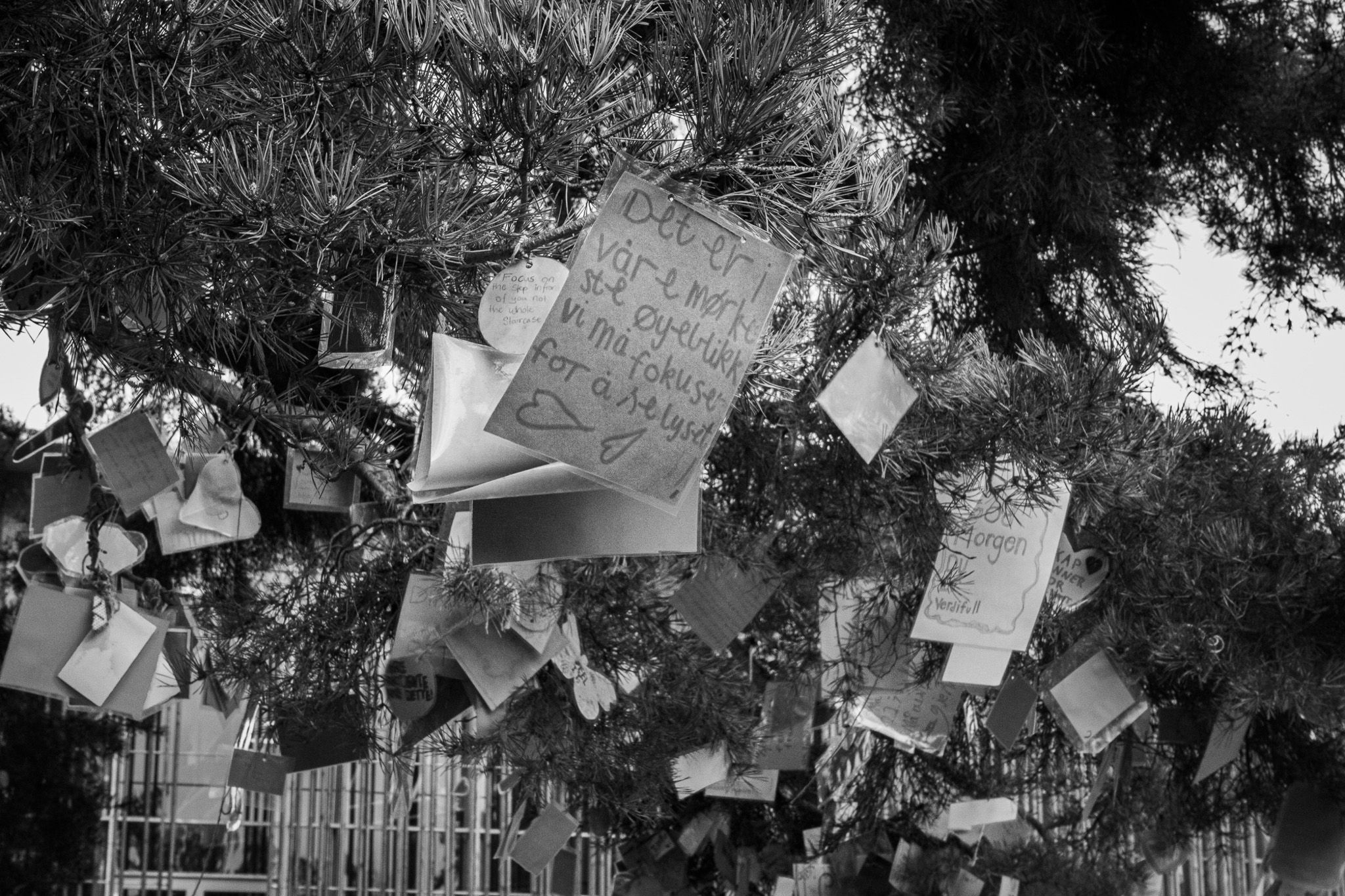 En dag som aldri stilner - Theodor-S-Borge_3MKA_En-dag-som-aldri-stilner5.jpg