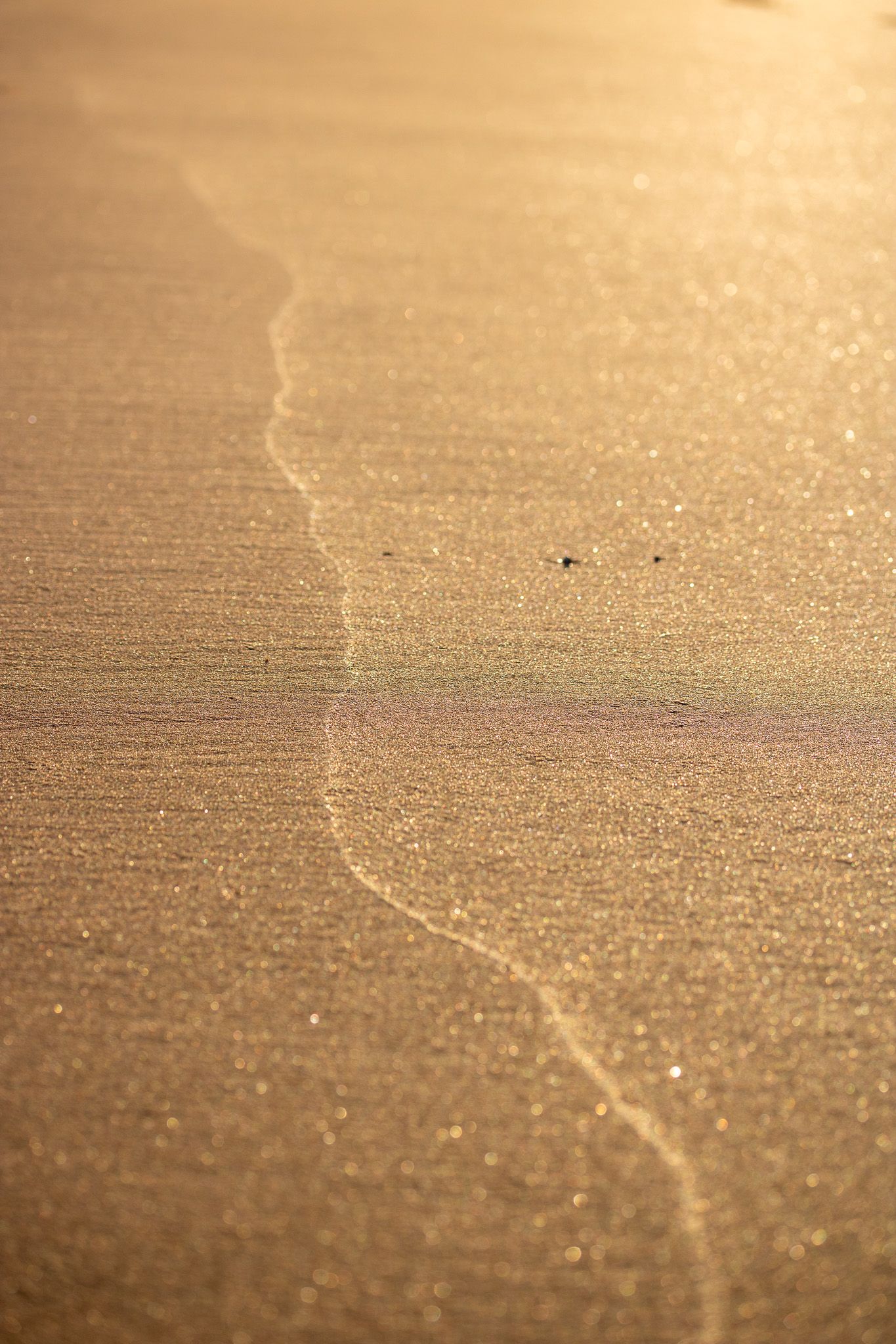 Golden Hour - Ayat-Jawad_2MKB_Golden-Hour7.jpg