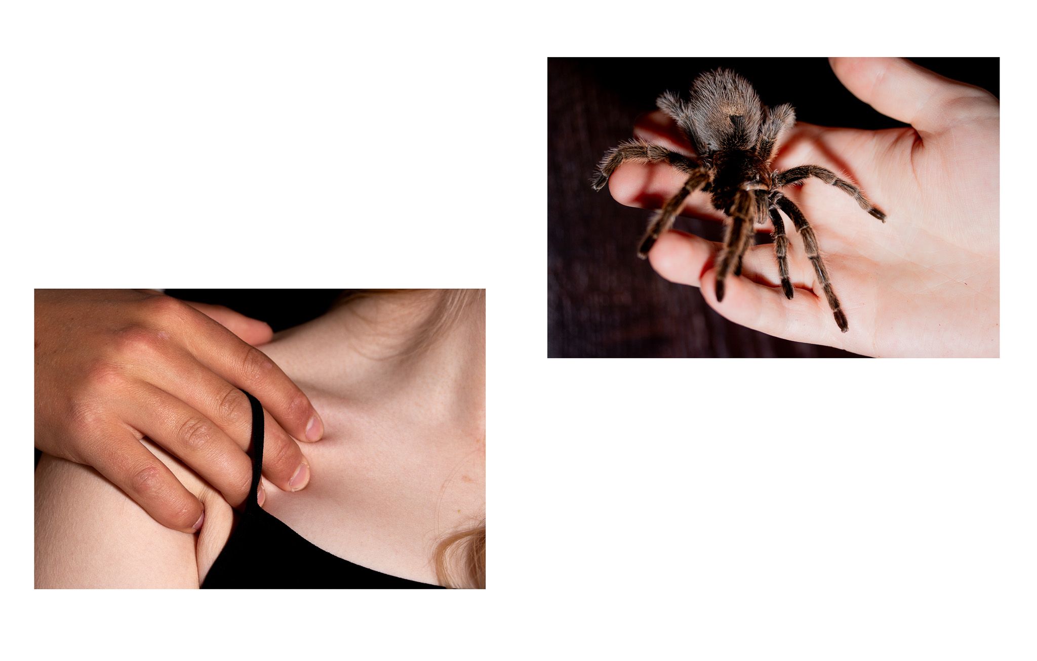 Reptilhjernen - Pia-Olea-Kristoffersen_3MKA_Reptilhjernen6.jpg