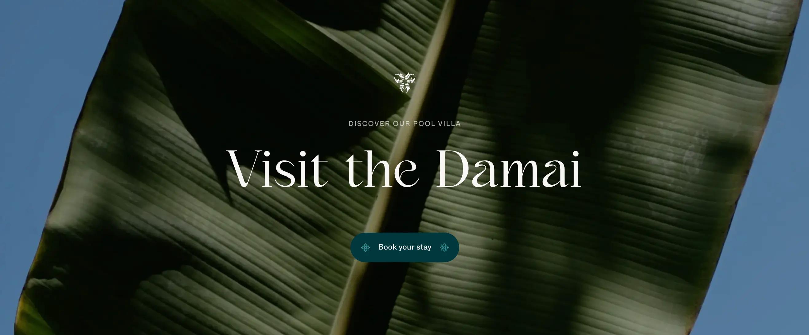 The Damai