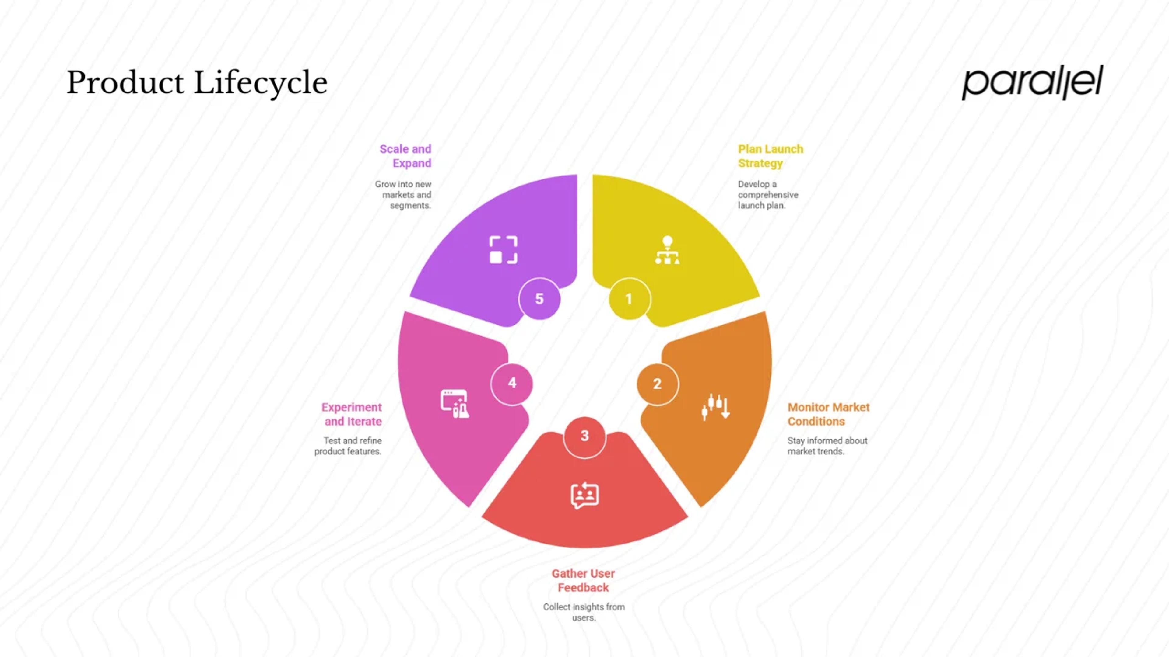 Launch, scale and sustain