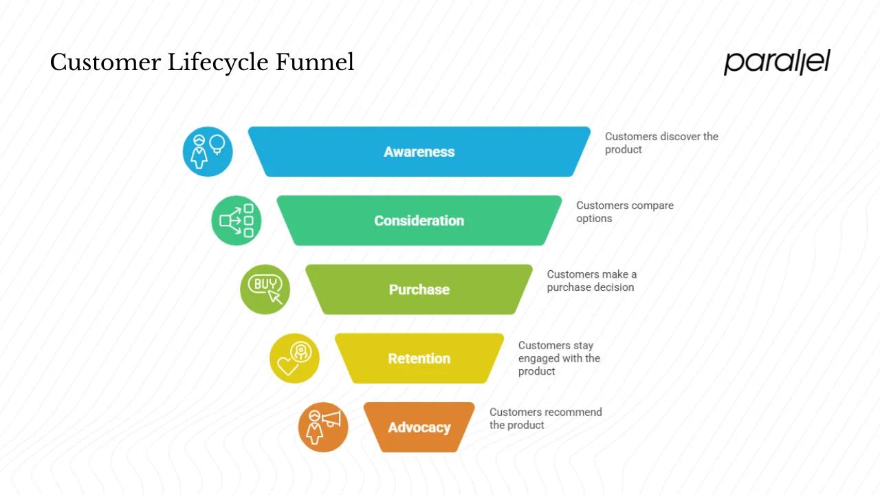 What are the stages of the customer lifecycle?