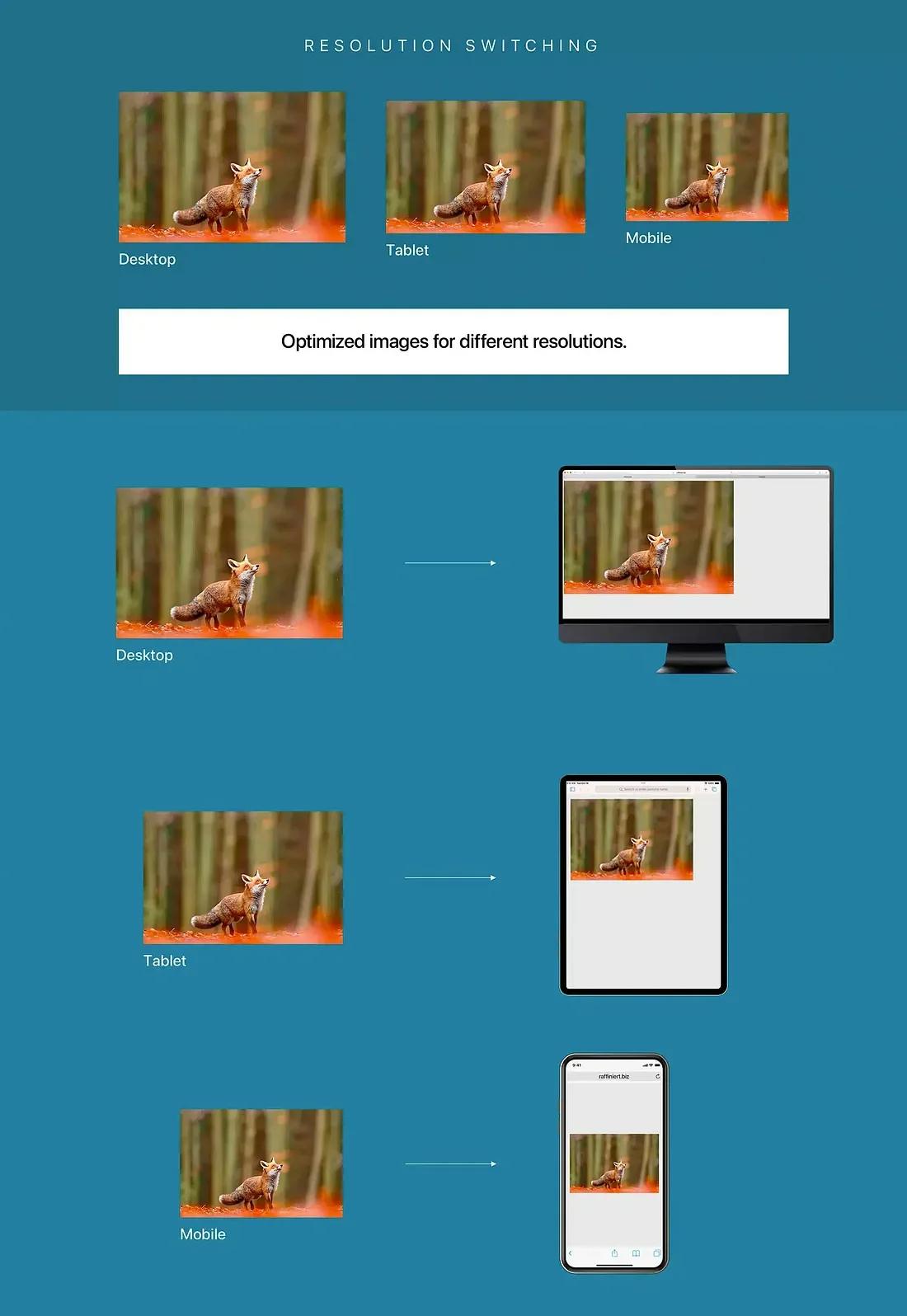 Flexible images techniques