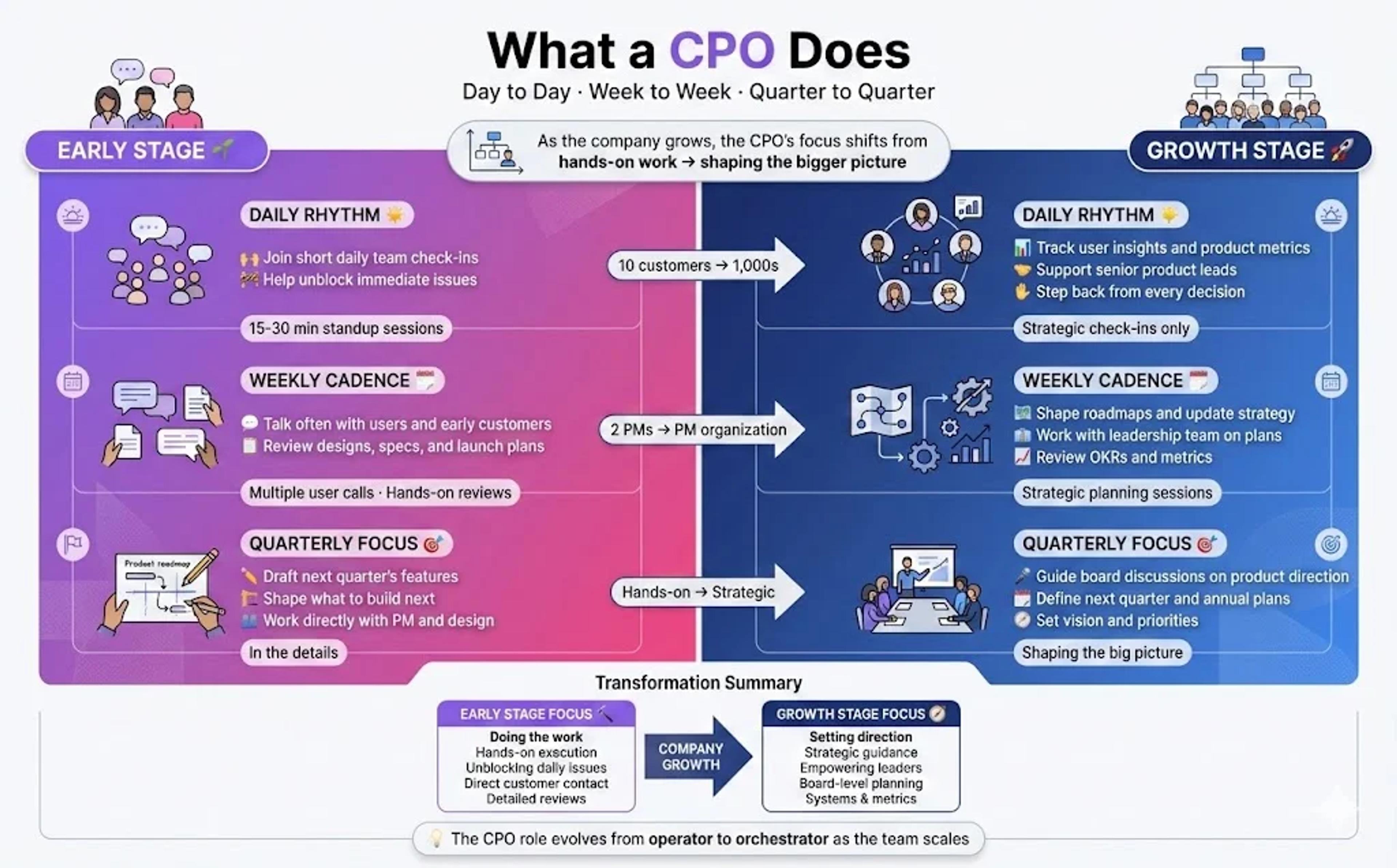 What a CPO Does Day to Day, Week to Week, and Each Quarter