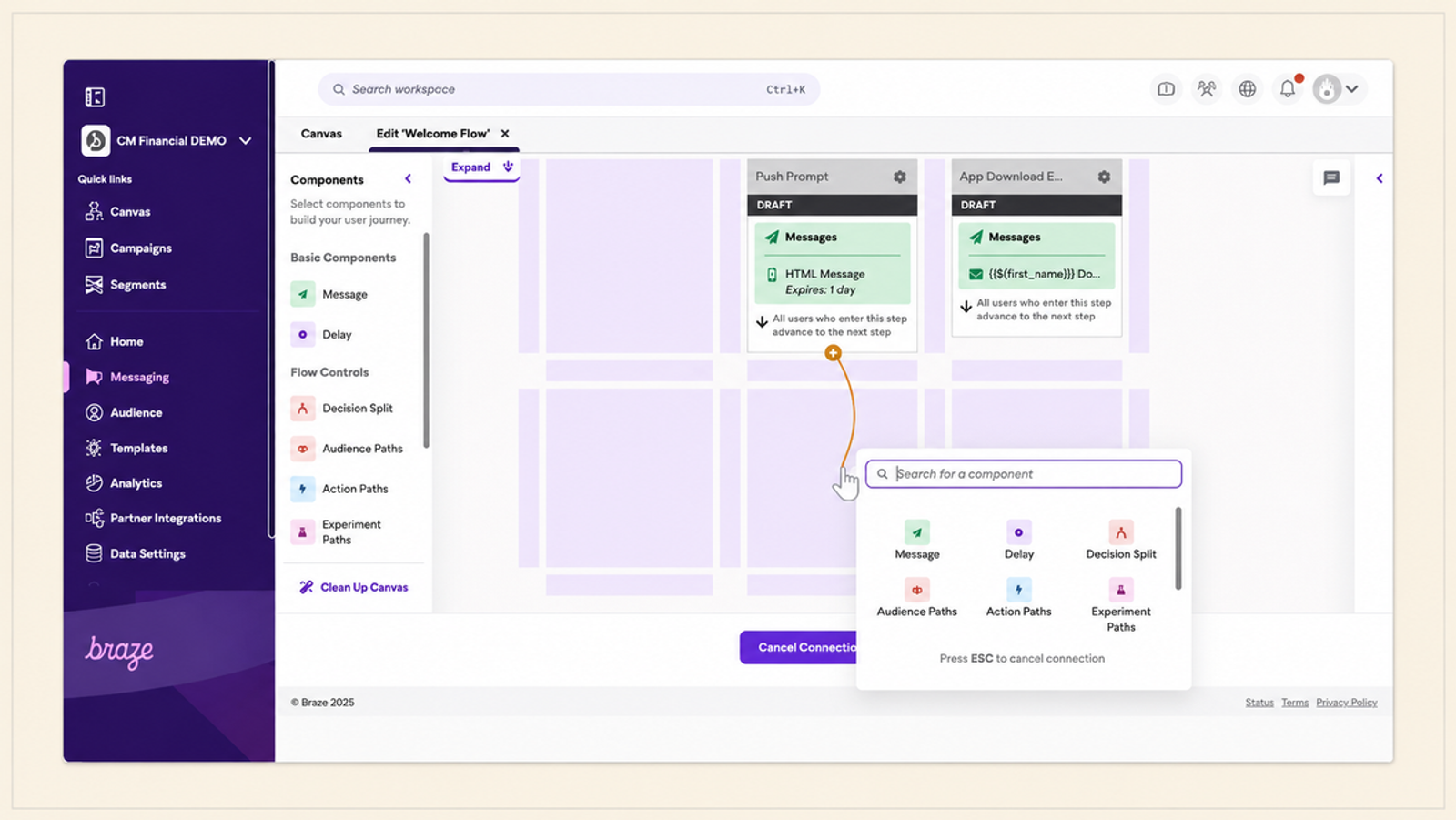 Braze customer engagement platform displaying journey orchestration and campaign analytics.