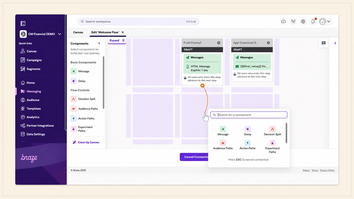 Braze customer engagement platform displaying journey orchestration and campaign analytics.