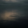A dark, cinematic editorial photograph of faint concentric ripples expanding across a quiet, shadowed body of water under an overcast twilight sky.