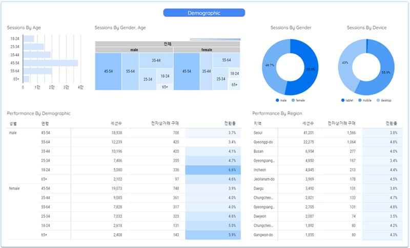 Customer segmentation dashboard displaying demographic data including age, gender, and geographic groups.
