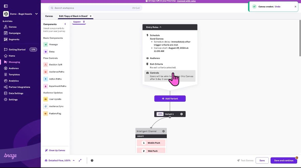 Braze Canvas workflow builder showing customer journey automation with entry rules and multichannel flow