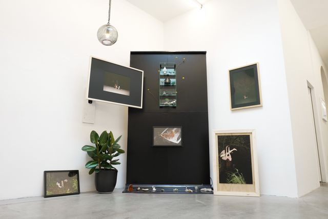 Installation view