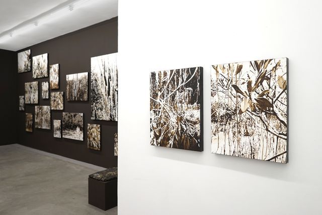 Installation view