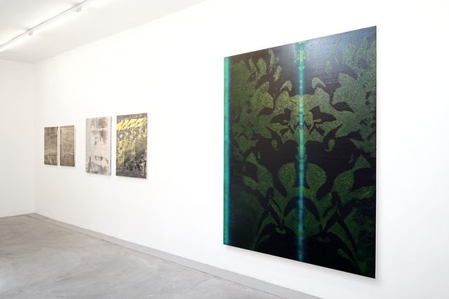 Installation view