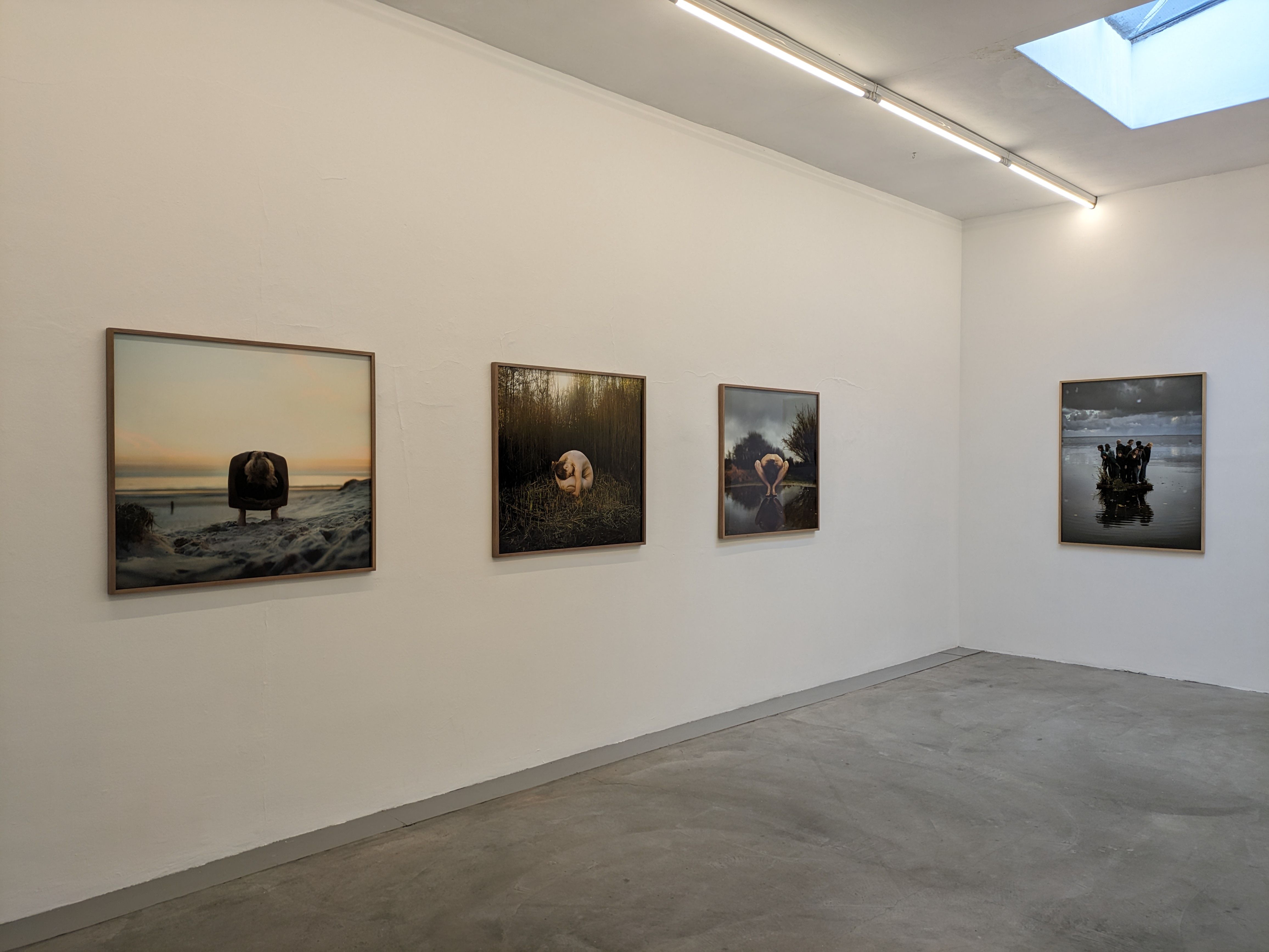 Installation view