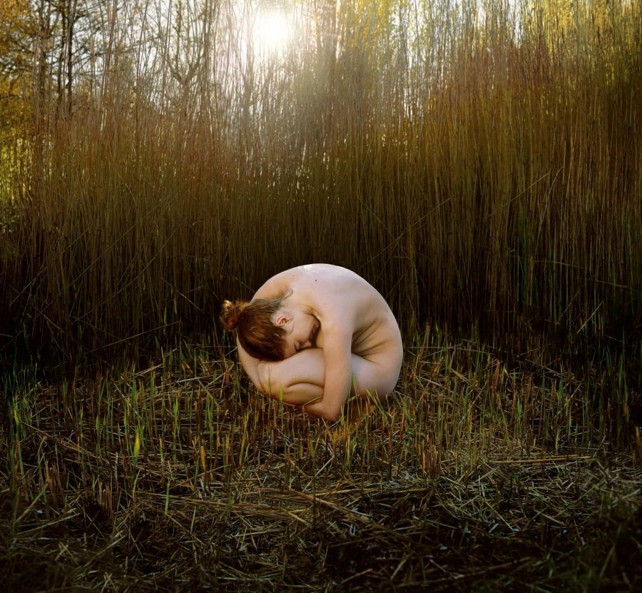 Ijtocht - Nest