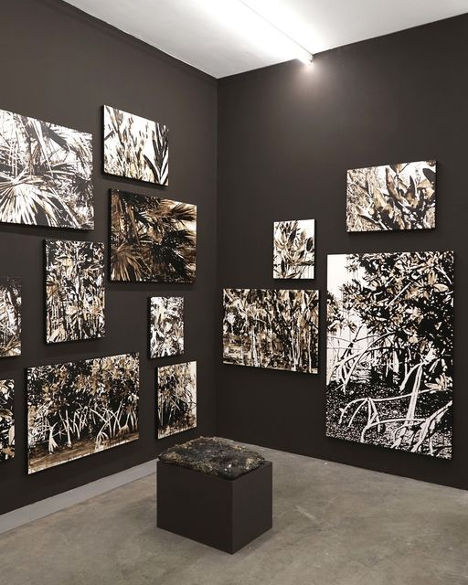 Installation view