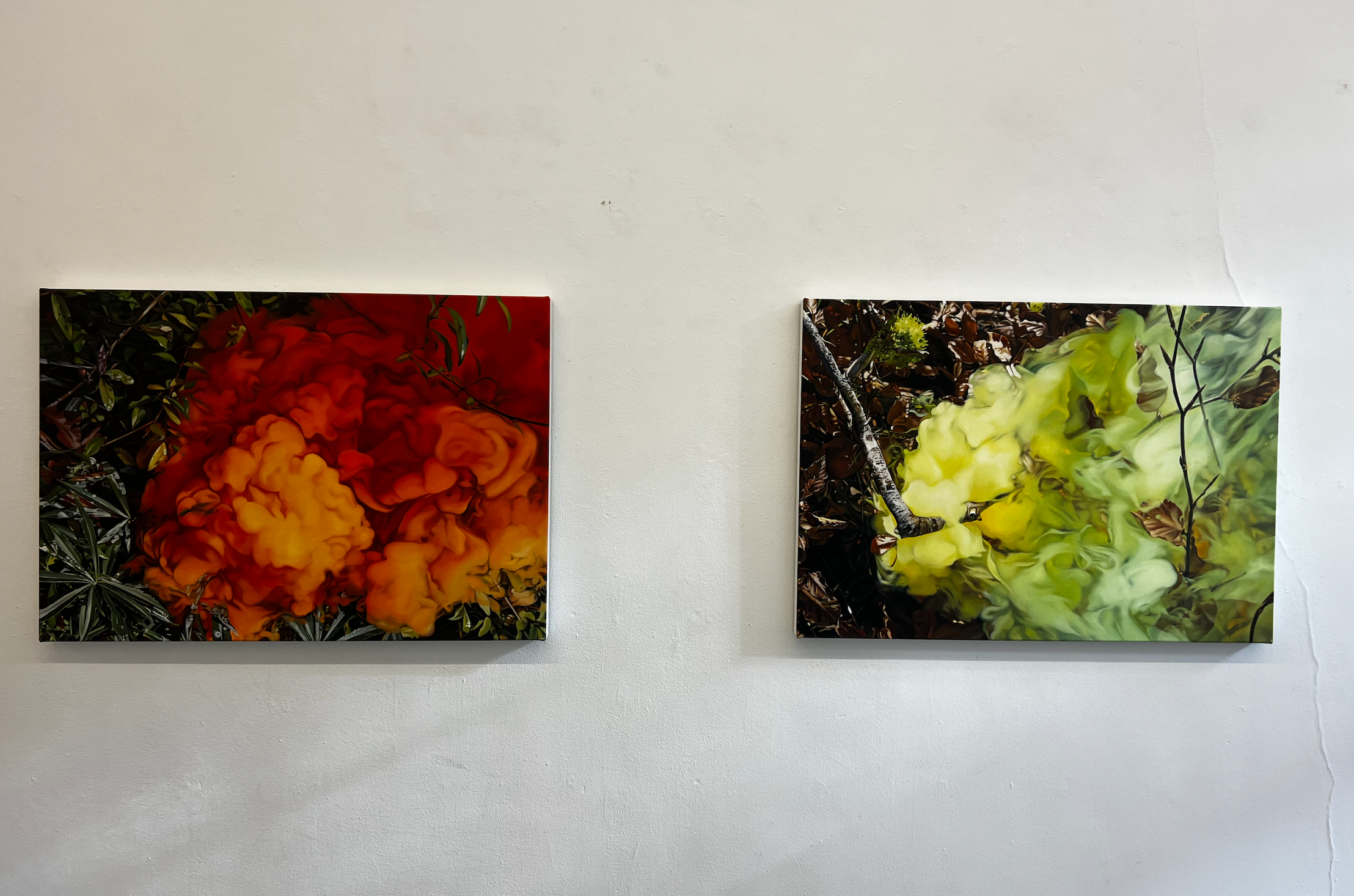 Installation view