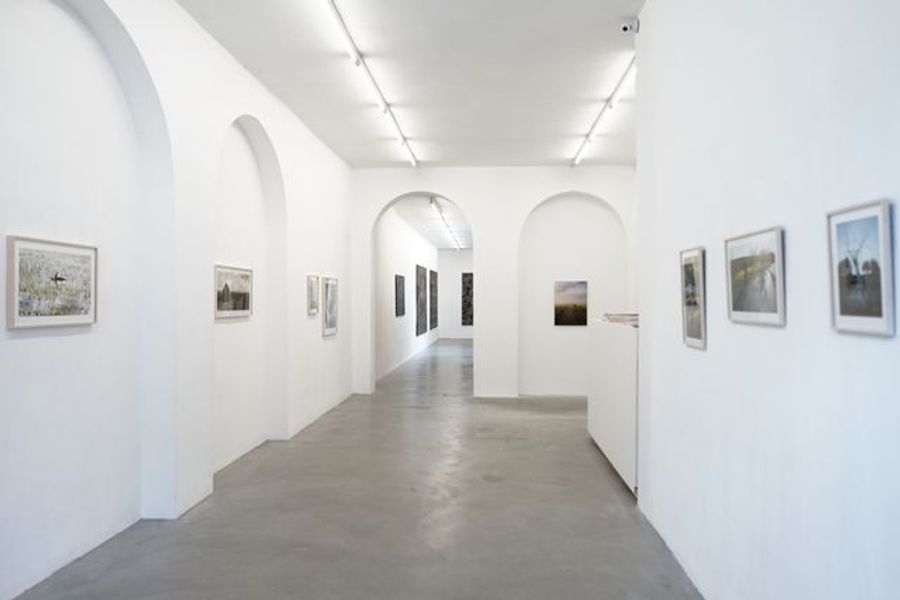 Adopted Sites (front space)