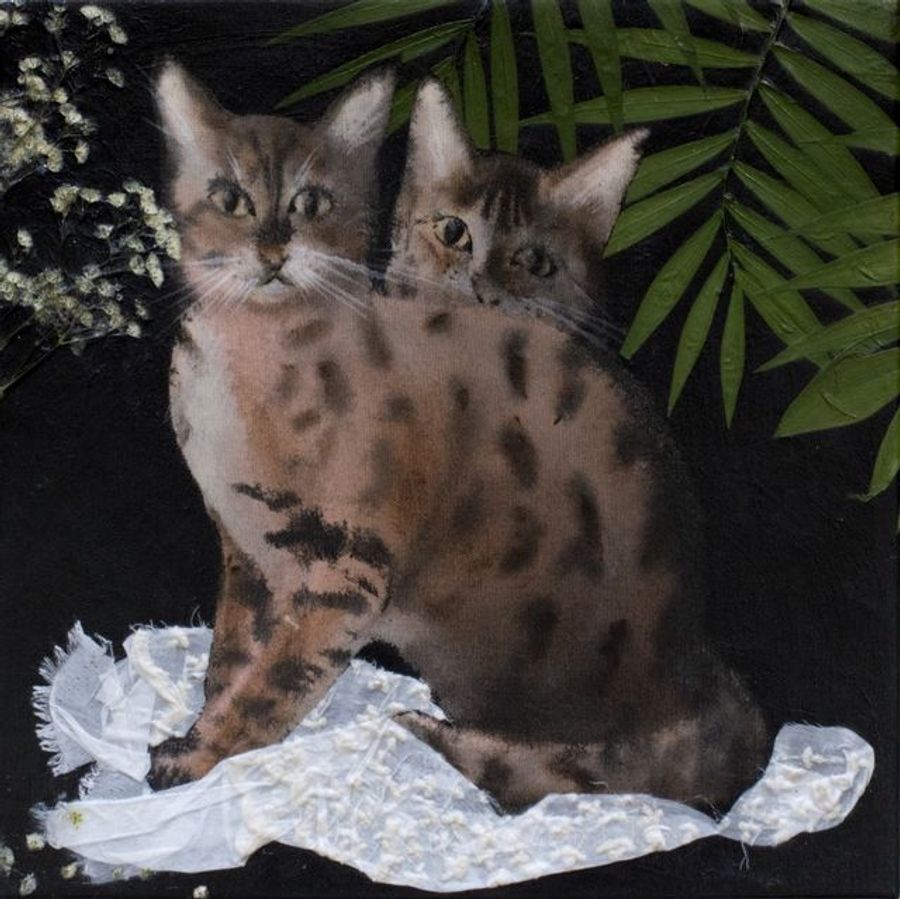 Twowo Catsats (Noodlesoodles and Lola)ola)