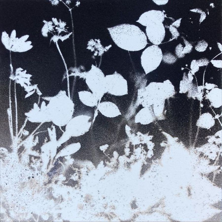 Torch-flora in Solva-ash and Tata-dust (1)