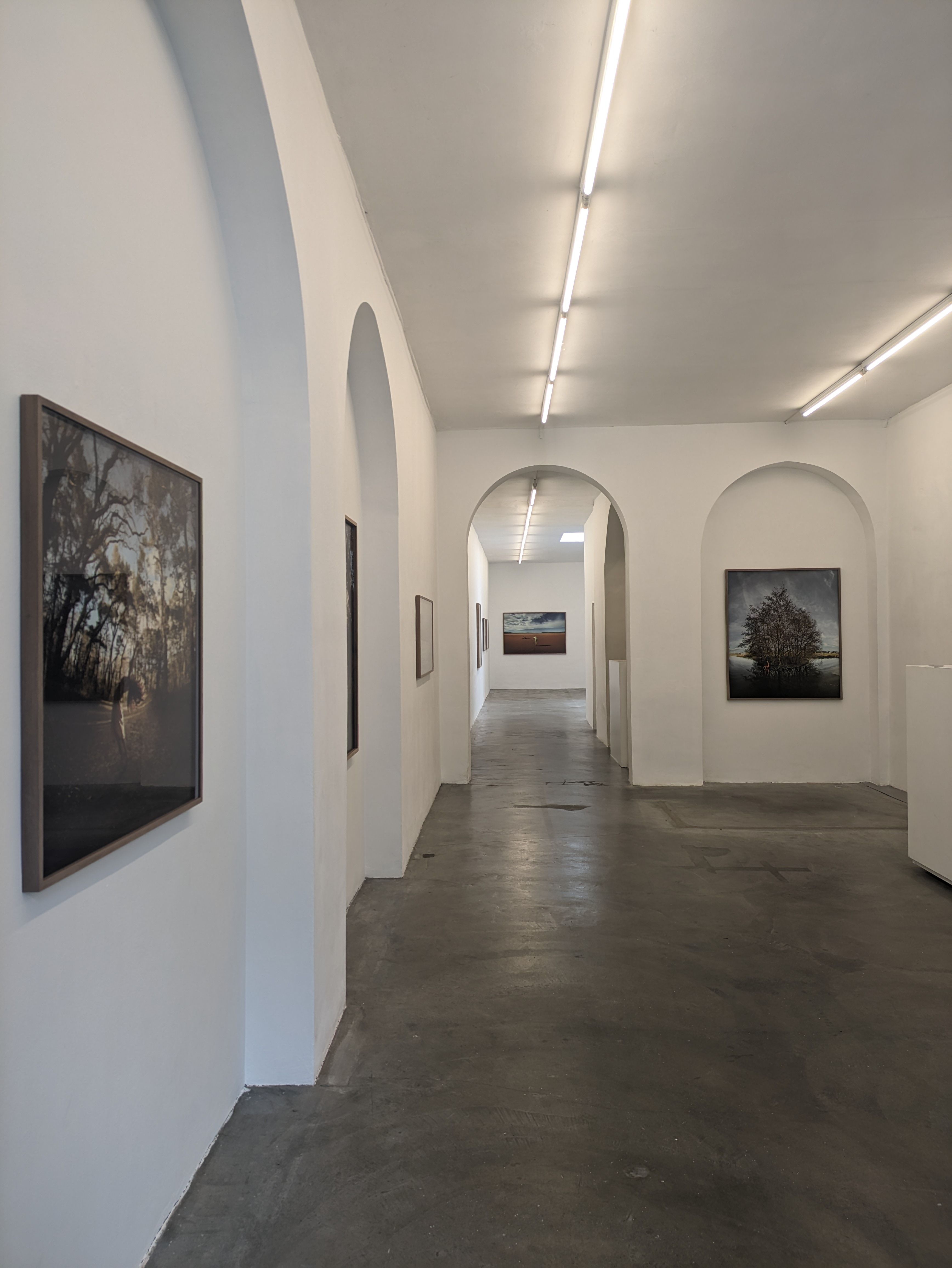 Installation view