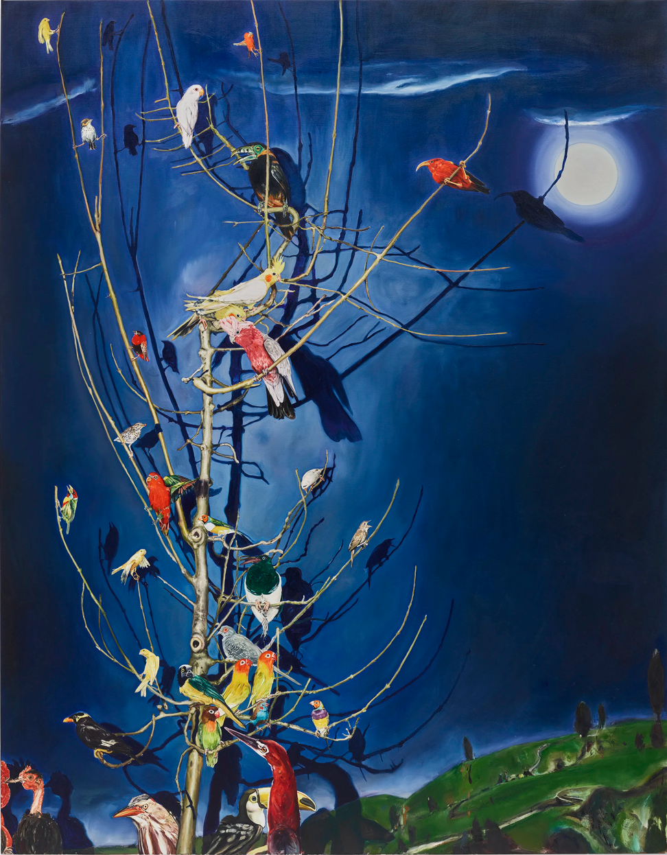 Oiseaux de Nuit