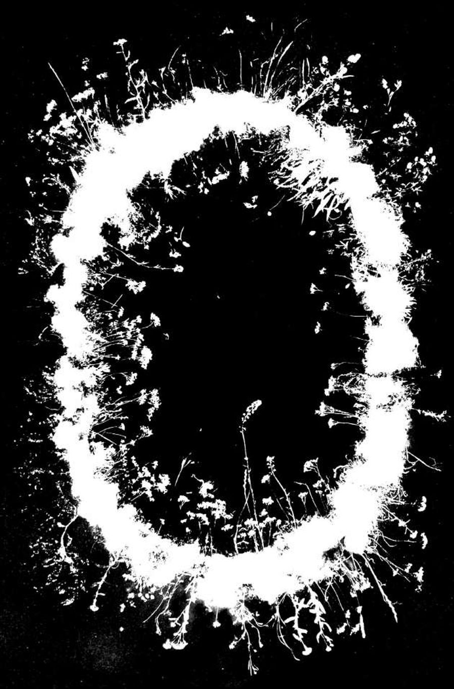 Flora Tata Metallica #16