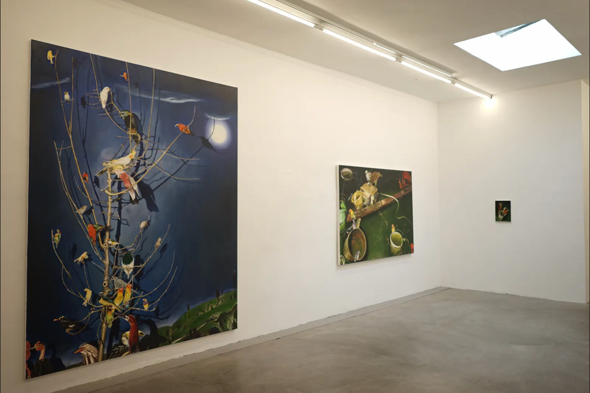 Installation view