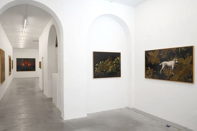 Installation view