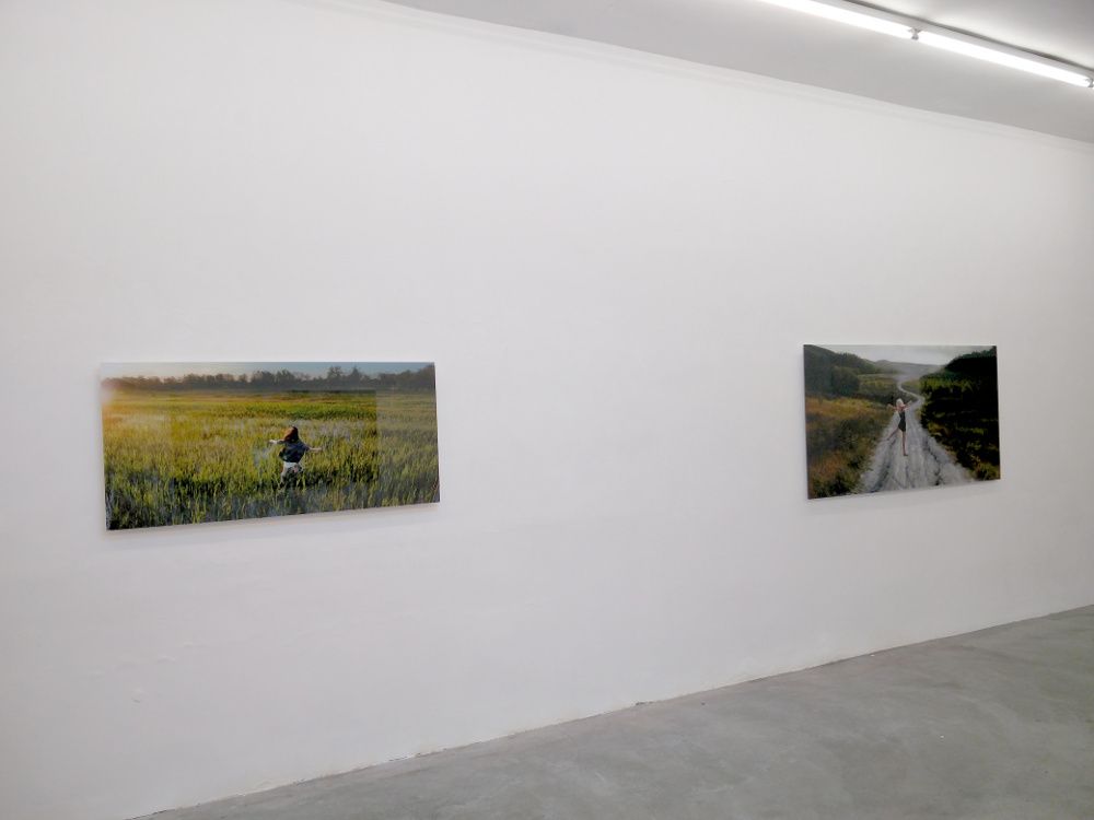 Installation view