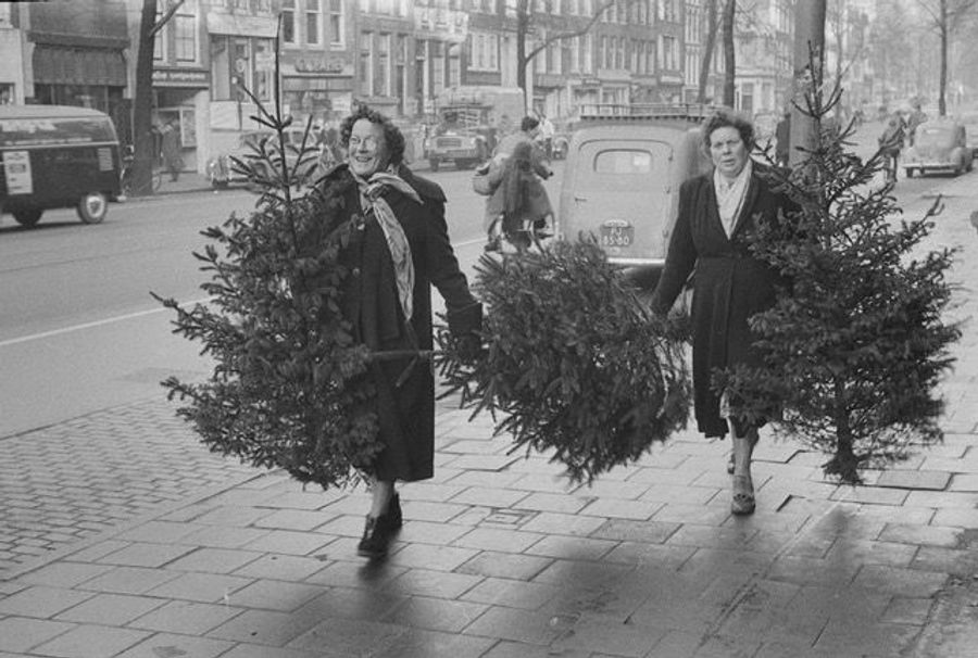 Christmas Trees - Rozengracht, Amsterdam