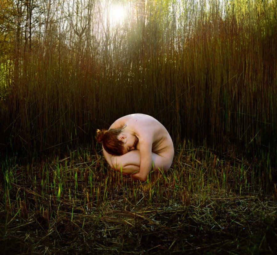 Ijtocht - Nest
