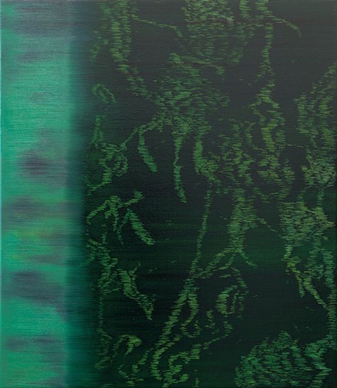 Velvet Forest