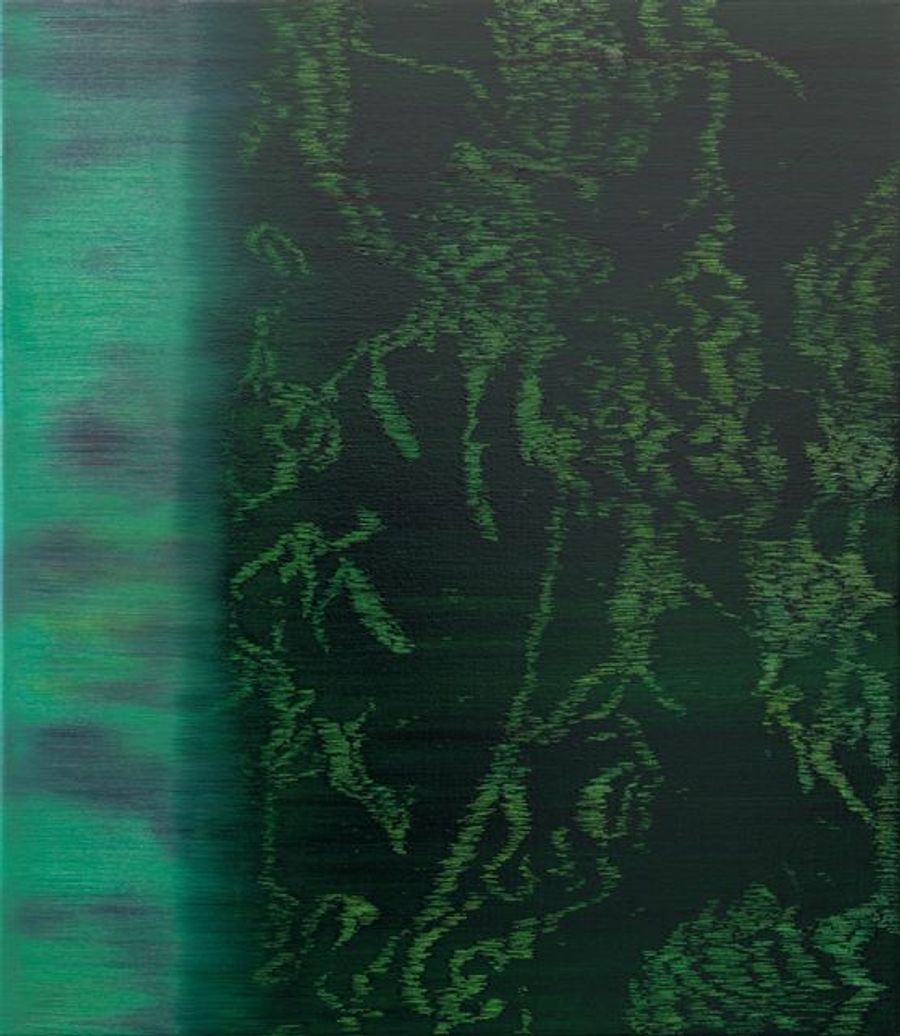 Velvet Forest