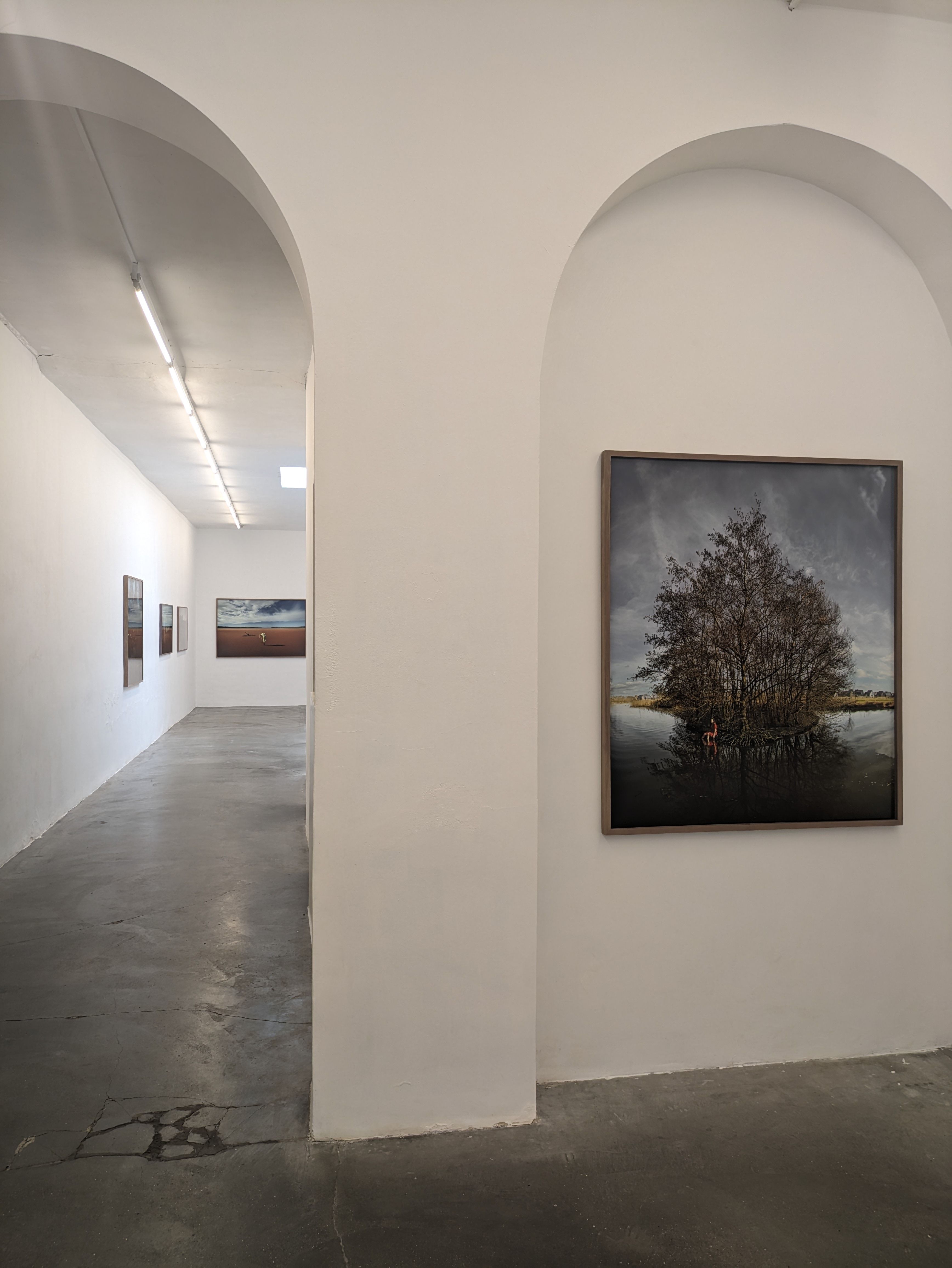 Installation view
