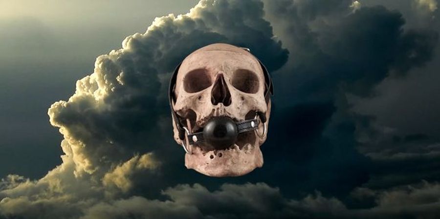 Foror the Loveove of Truthruth (Vanitasanitas #2#2 Skycloud)kycloud)