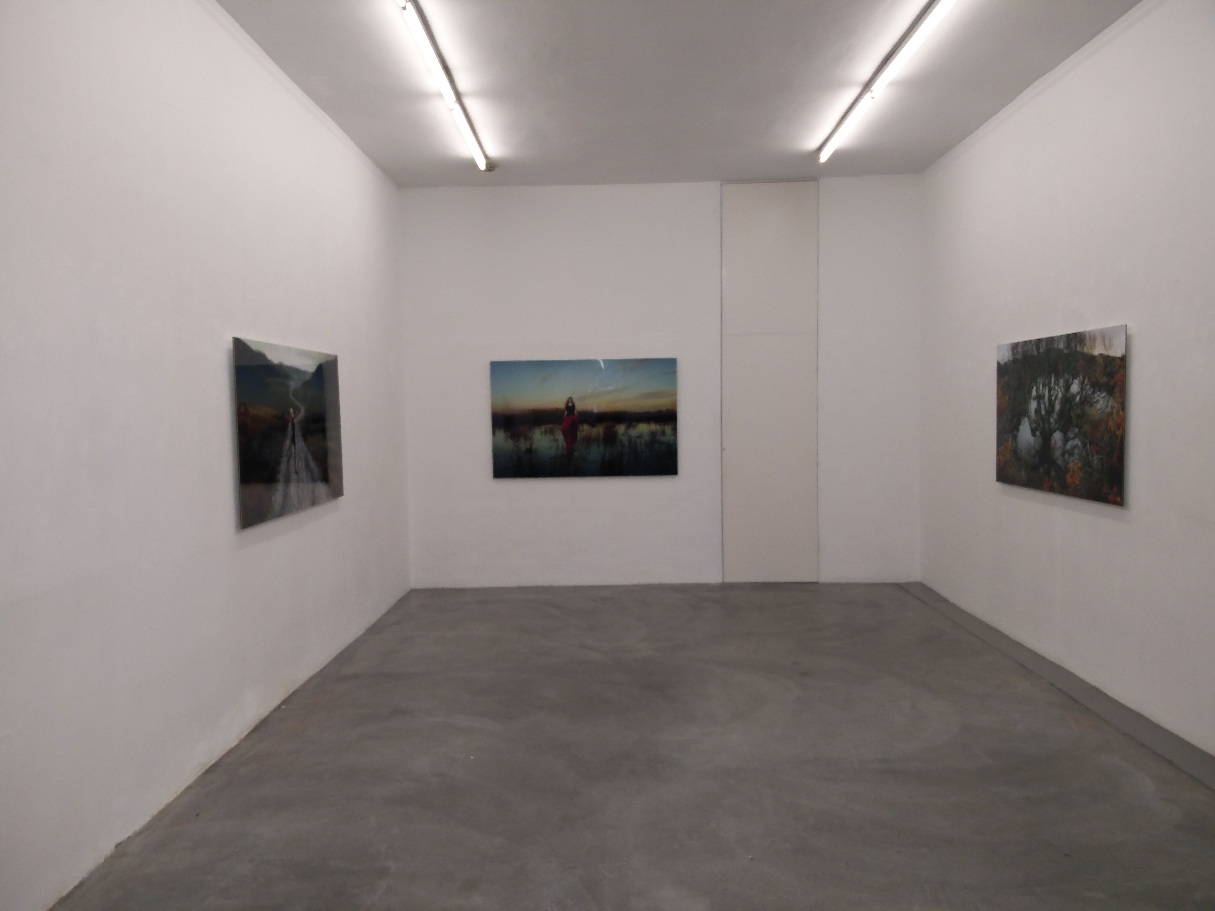 Installation view
