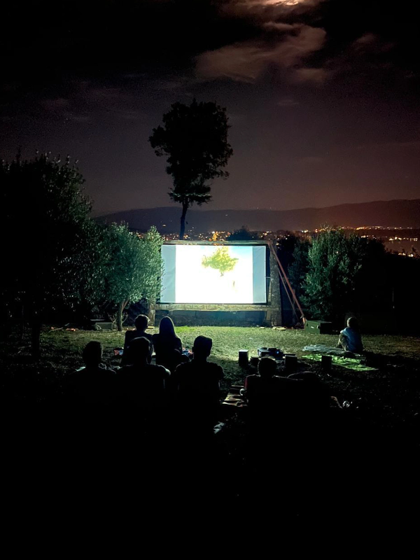 Camp cinema