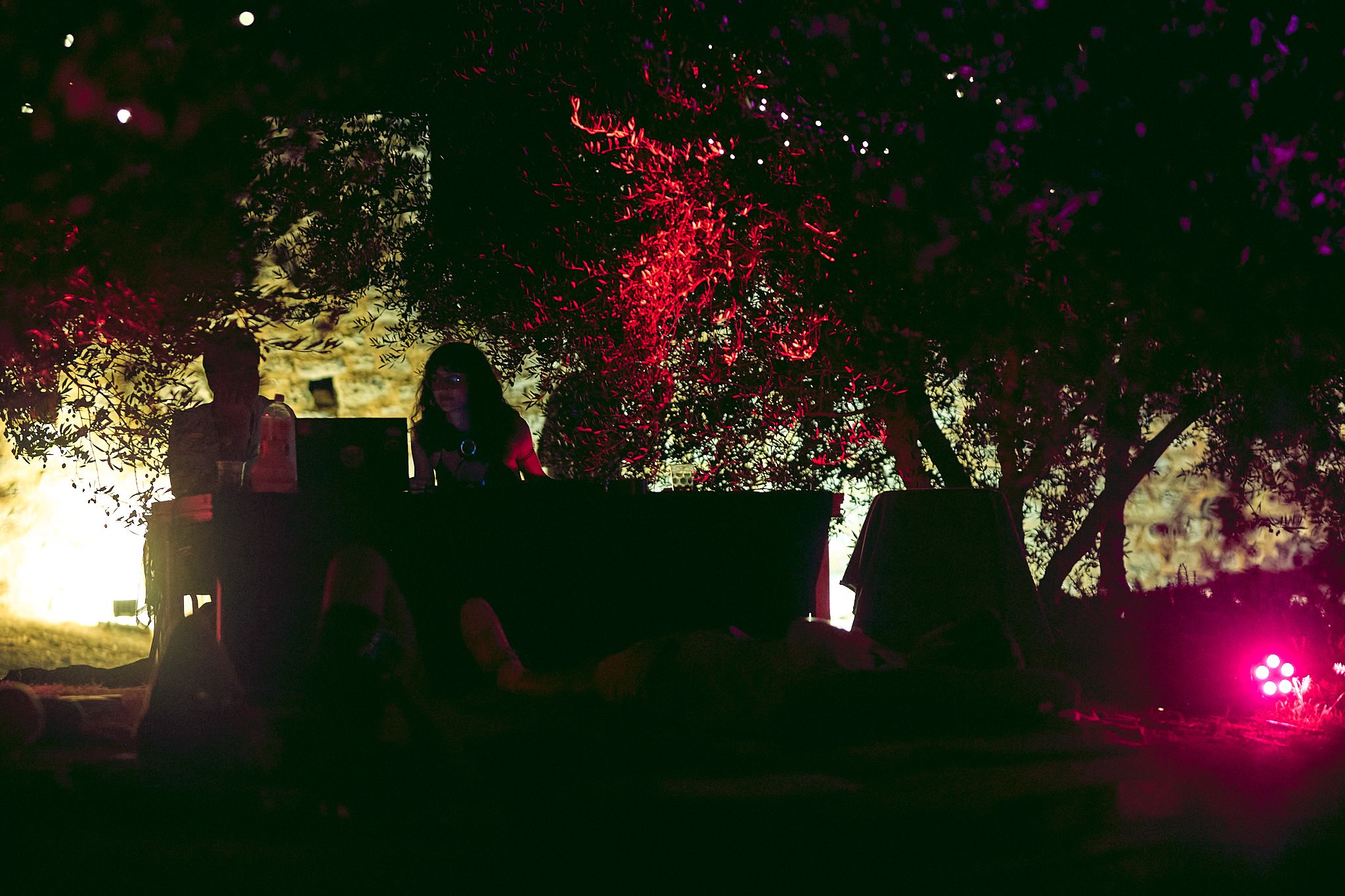 artist image