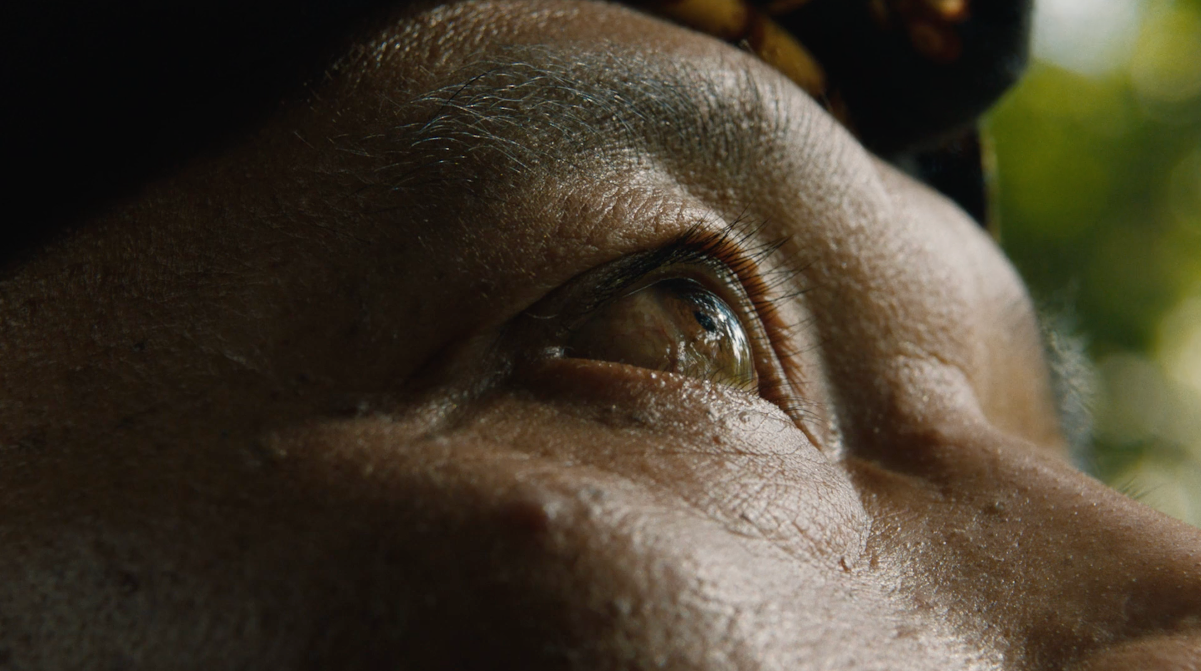 Beyond Those Quiet Boundaries